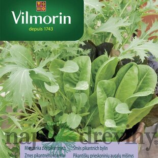 Vilmorin zmes pikantného korenia 2 g
