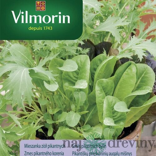 Vilmorin zmes pikantného korenia 2 g