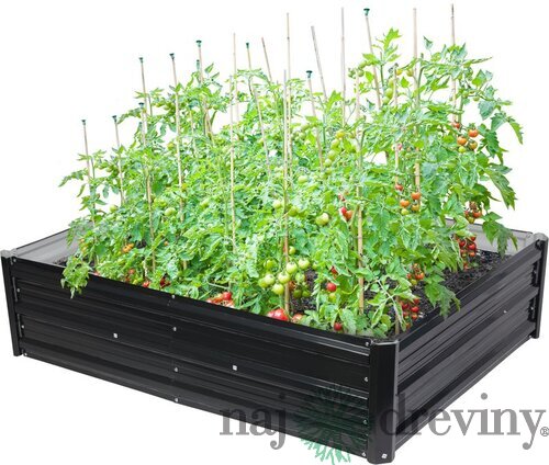 Záhon Strend Pro Garden, 3D dizajn, kovový, vyvýšený, 120x90x30 cm
