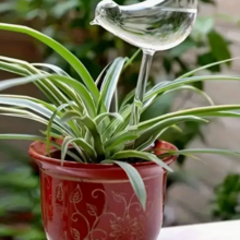 Zavlažovanie kvetináčov