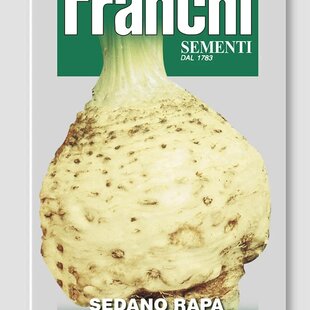 Zeler koreňový - BIANCO DEL VENETO - semená