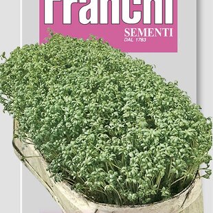 Žerucha - COMUNE FRANCESE - semená