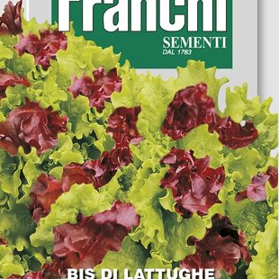 Zmes listového šalátu - BIONDA E ROSSA RICCIOLINA - semená, 12 gramov