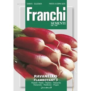 Zmes mrkvy a reďkovky - VÝSEVNÝ PÁSIK